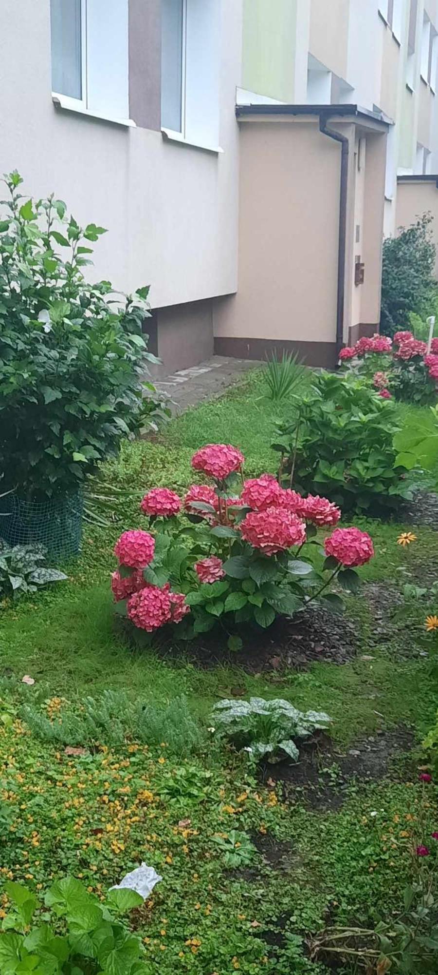 Apartament Jak W Domu Zamość Buitenkant foto